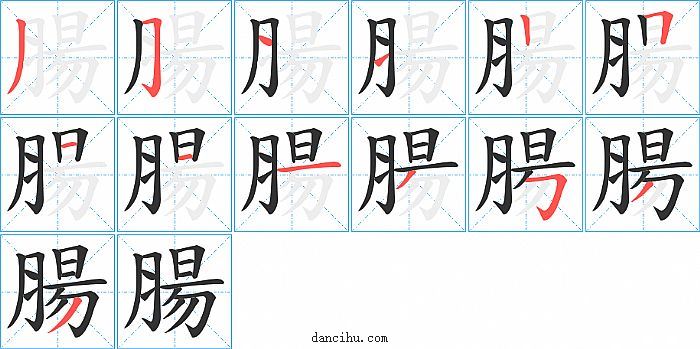 腸字笔顺分步演示图