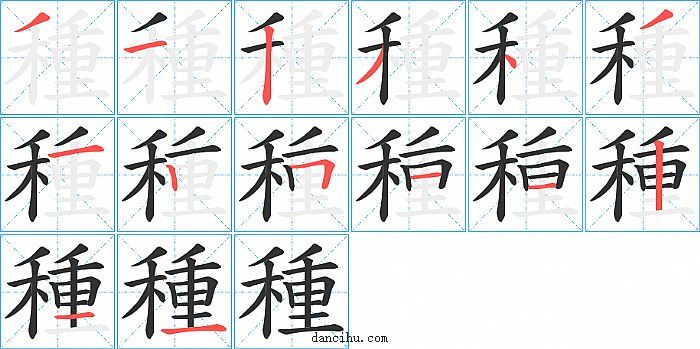 種字笔顺分步演示图