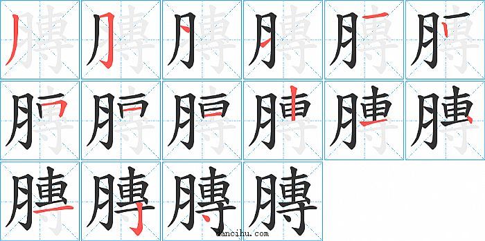 膞字笔顺分步演示图