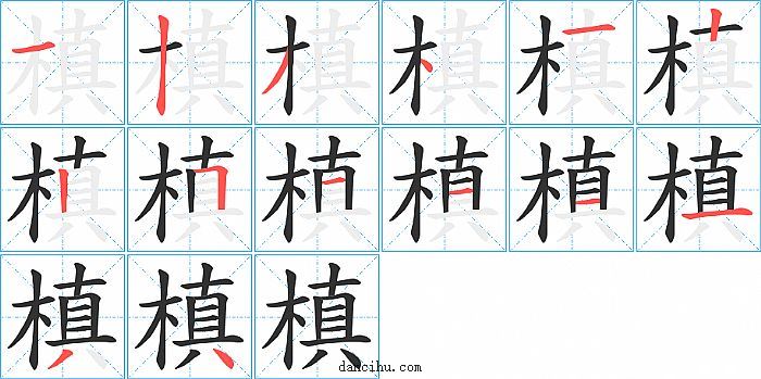 槙字笔顺分步演示图