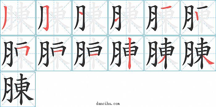 腖字笔顺分步演示图