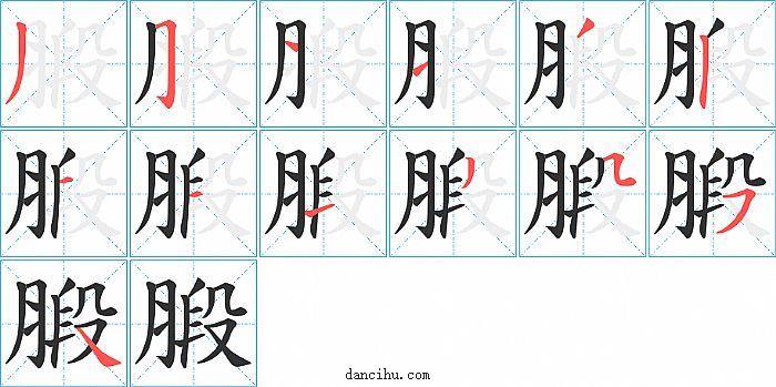 腶字笔顺分步演示图