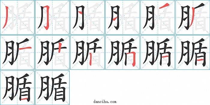 腯字笔顺分步演示图