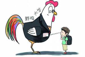 野雞大學是什么意思