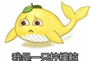 云串门是什么意思