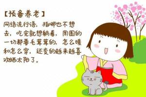 預(yù)備養(yǎng)老是什么意思