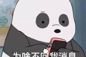 回消息輪回是什么意思