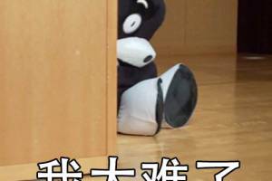 我太難了是什么意思