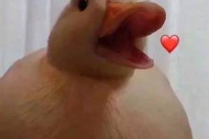 今天也要开心鸭是什么意思