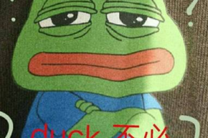 duck不必是什么意思