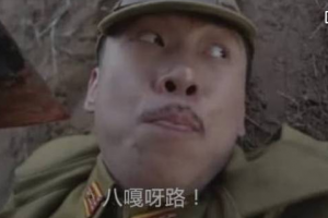 八嘎是什么意思
