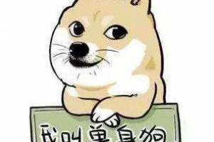 單身狗是什么意思