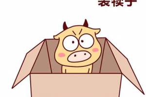 裝犢子是什么意思