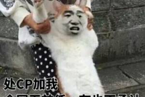 全網(wǎng)無前任,有也不承認(rèn)是什么意思