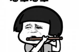 海草海草是什么意思