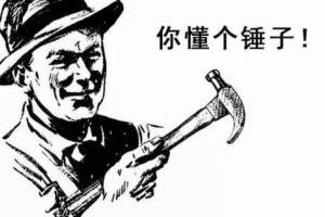 你懂個錘子是什么意思