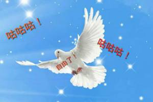 咕咕咕是什么意思