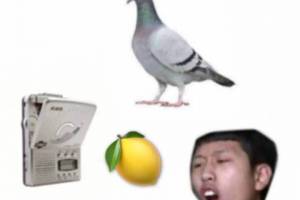人類三大本質(zhì)是什么意思