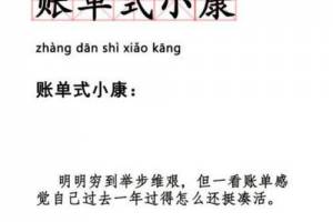 賬單式小康是什么意思