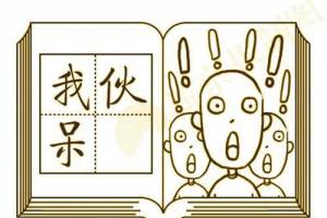 我伙呆是什么意思