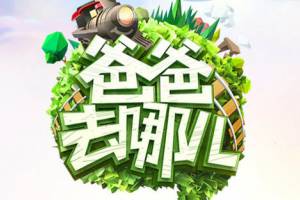 也是蠻拼的是什么意思