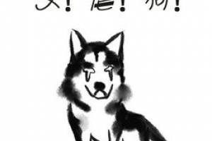 虐狗是什么意思