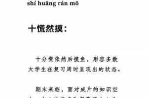 十慌然摸是什么意思