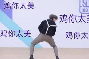 雞你太美是什么意思