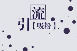 引流是什么意思