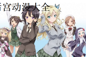 后宫动漫是什么意思