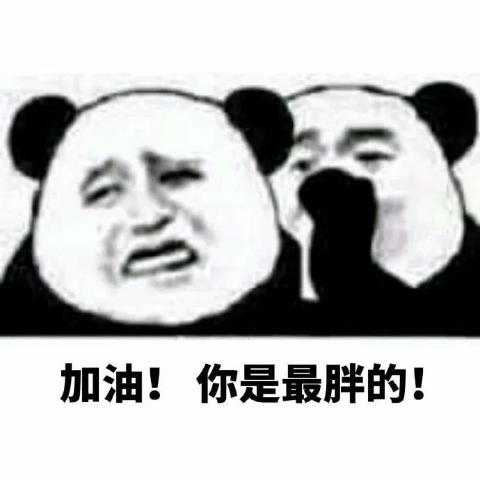 减肥文人