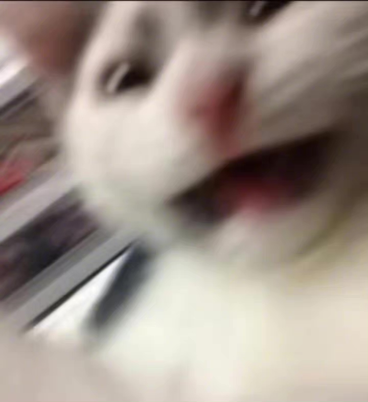 电子呕吐物