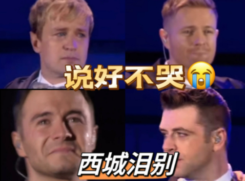 电子陪哭员