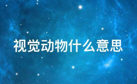 视觉动物