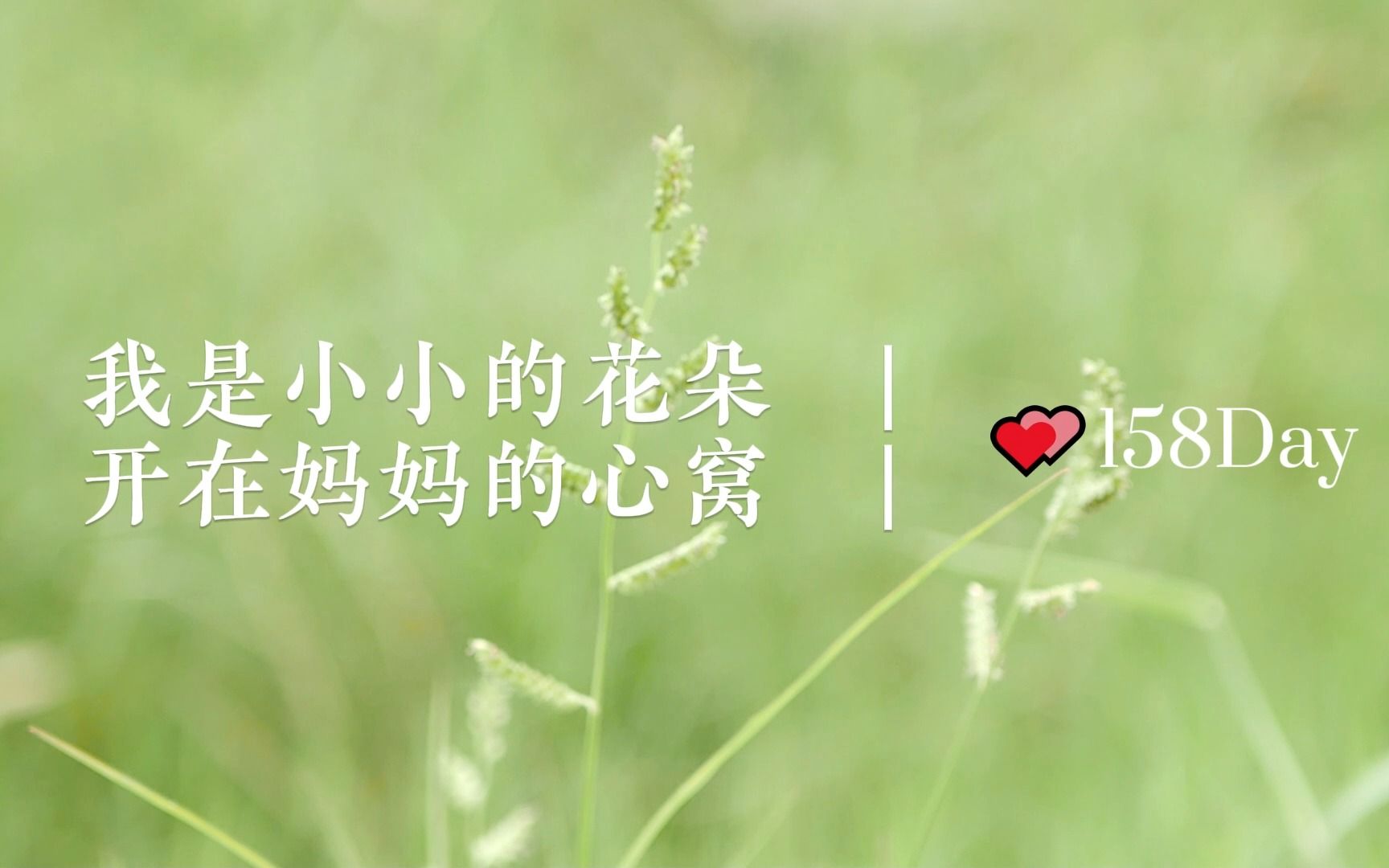 我是小小花朵