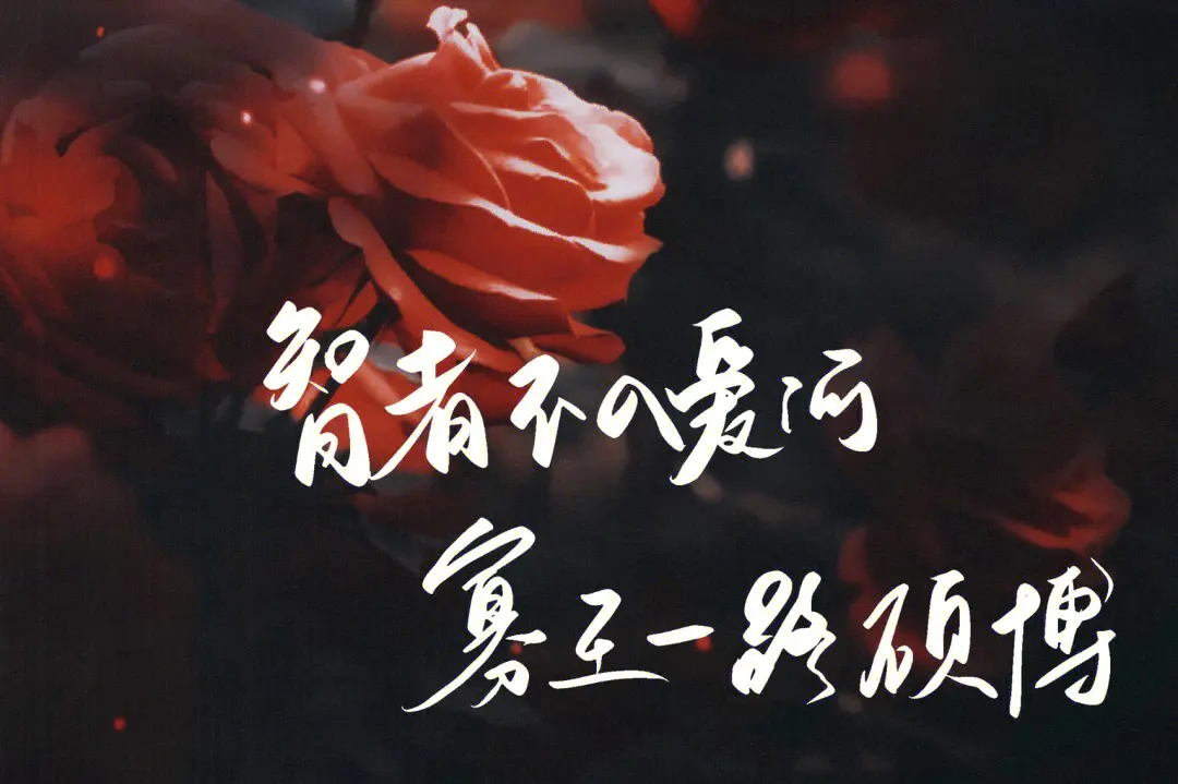 寡王一路硕博