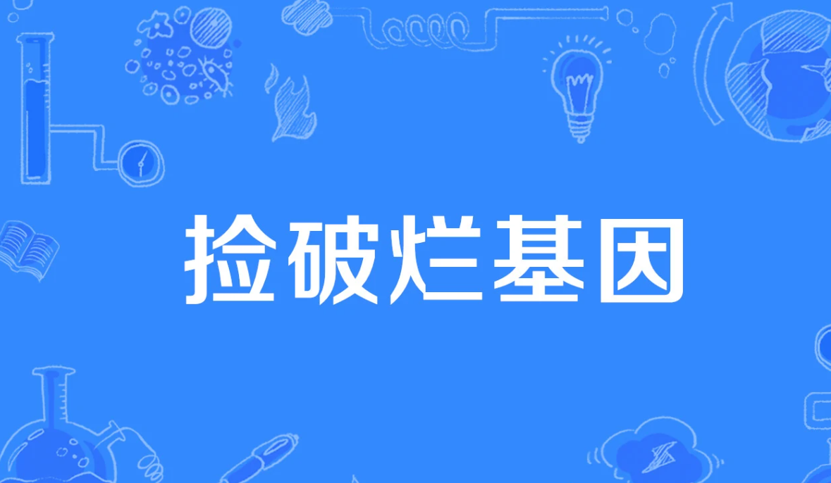 捡破烂基因