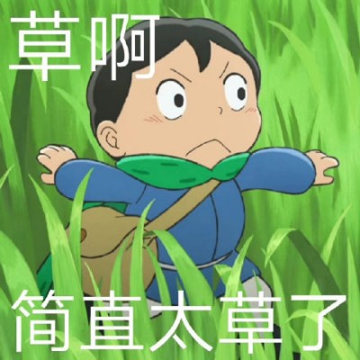 8-1
