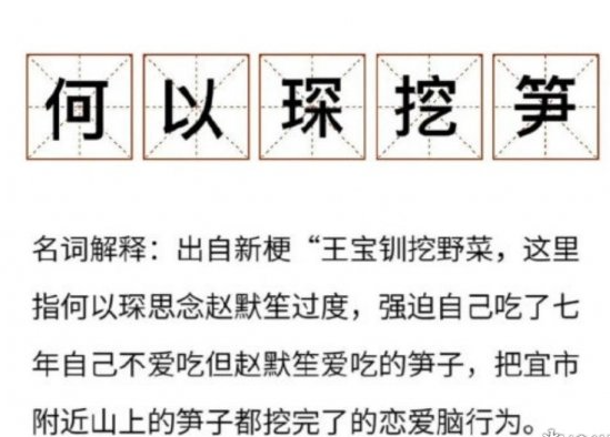 何以琛挖笋