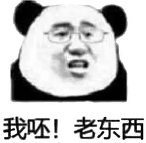 老登