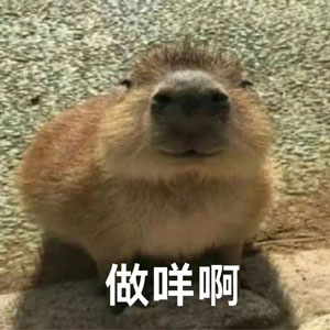 水豚精神症状
