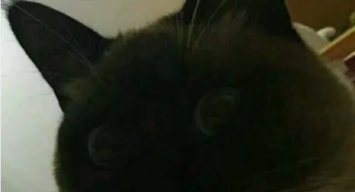 炸洗我了