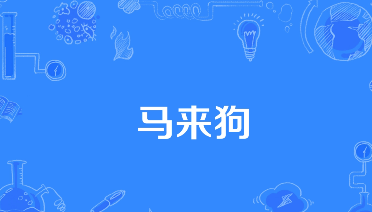 马来狗