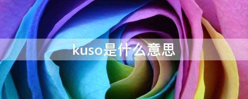 kuso
