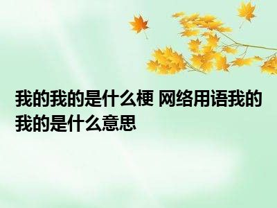 我的我的