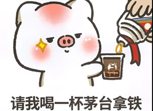 茅瑞cp