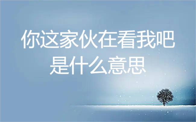 你这家伙在看我吧