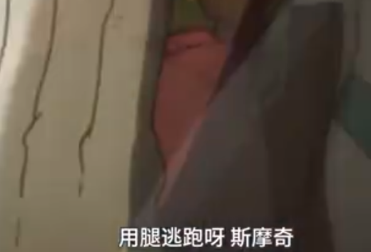 你给路达油