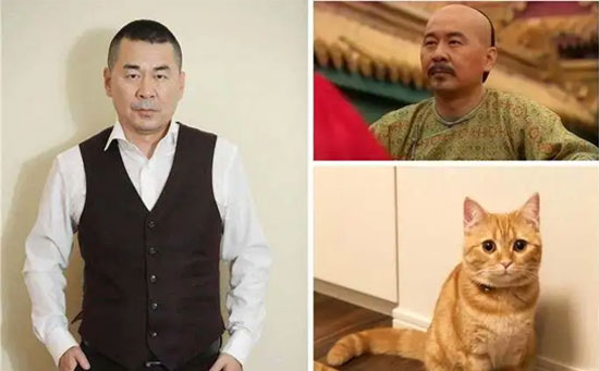 胖橘