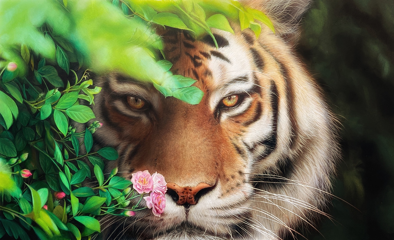 猛虎嗅蔷薇